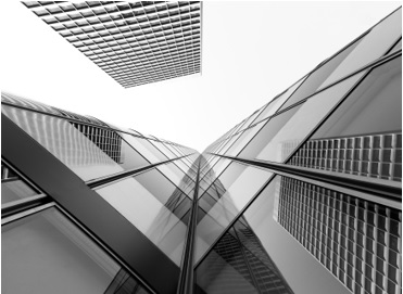Building Inspector